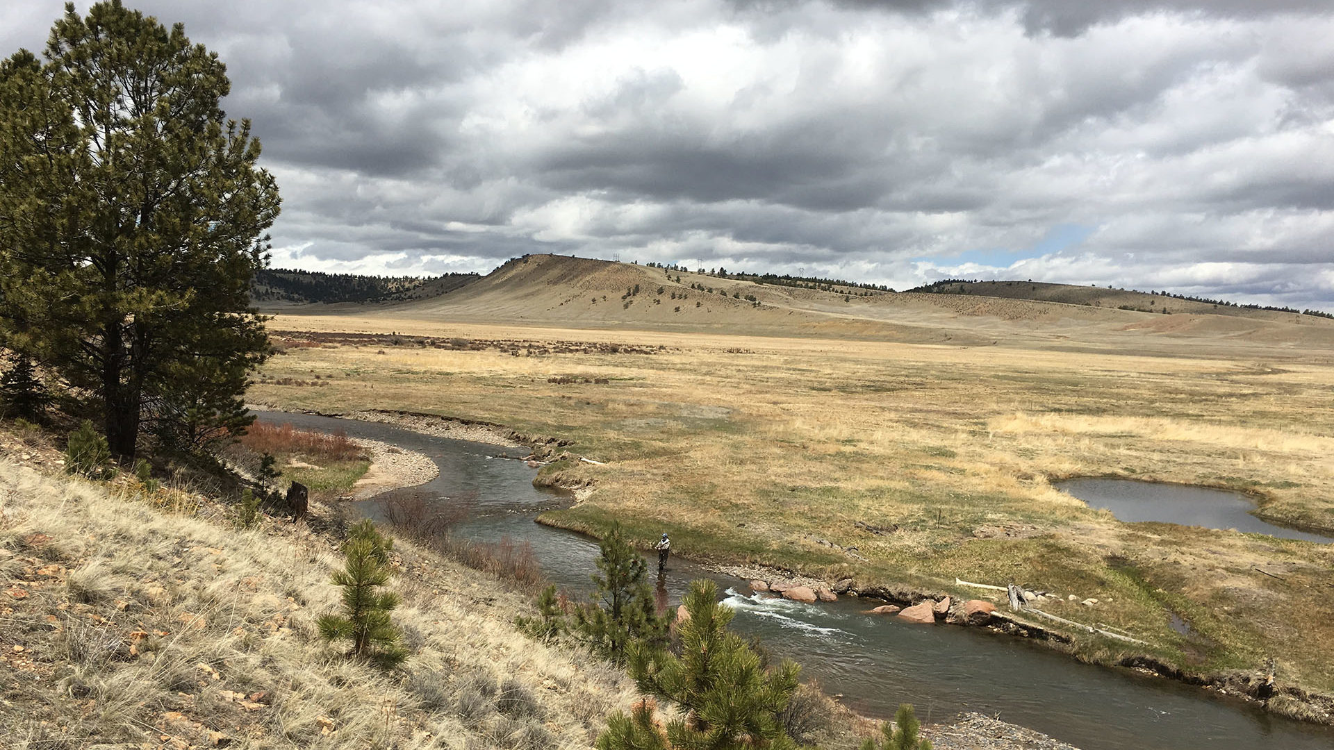 Colorado fly fishing on the unspoiled section of the South Platte River's Middle Fork