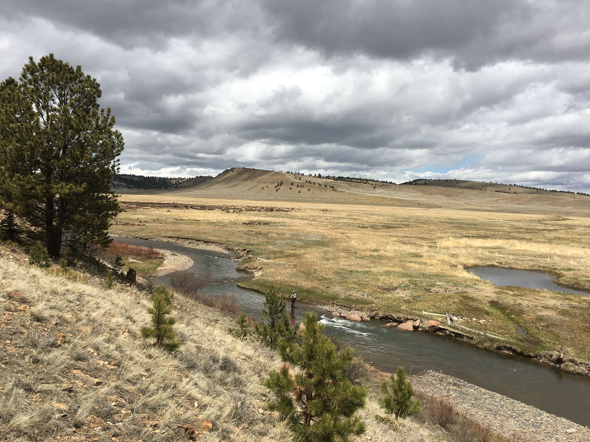 Colorado fly fishing on the unspoiled section of the South Platte River's Middle Fork