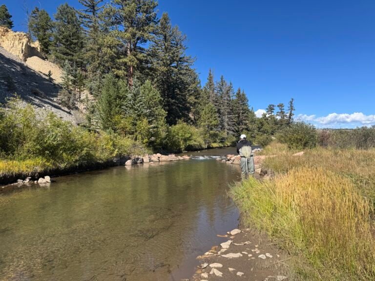 Fly fishing experience on private South Platte River water in Colorado 3